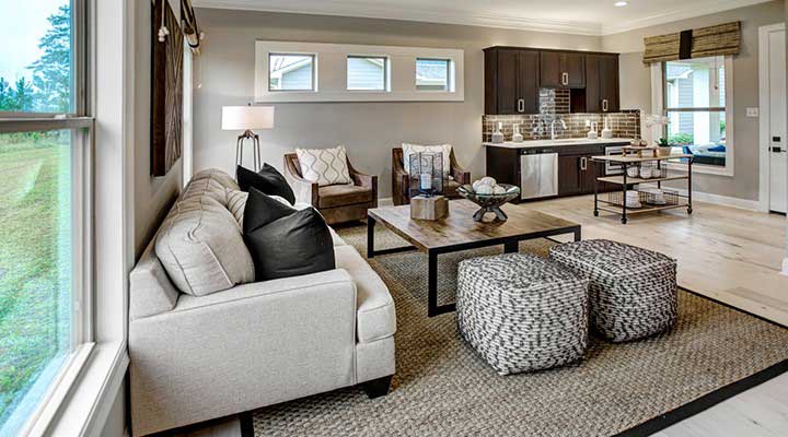 Multigenerational homes open floor plan with couches and kitchnette